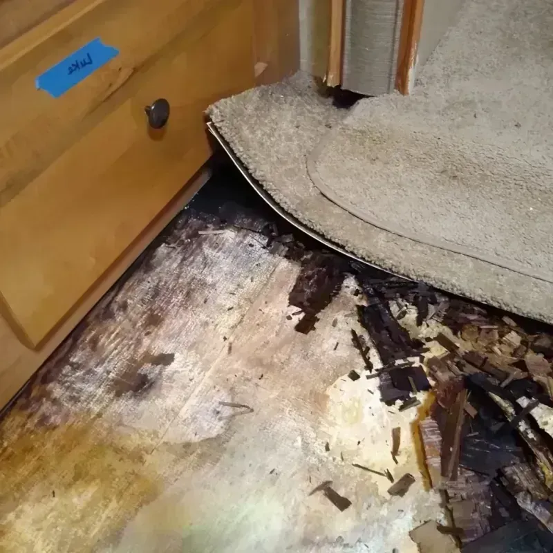 Best Wood Floor Water Damage Service in Salem, VA